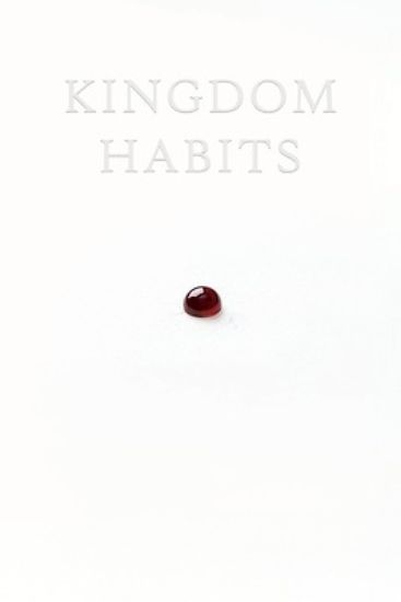 Picture of Kingdom Habits