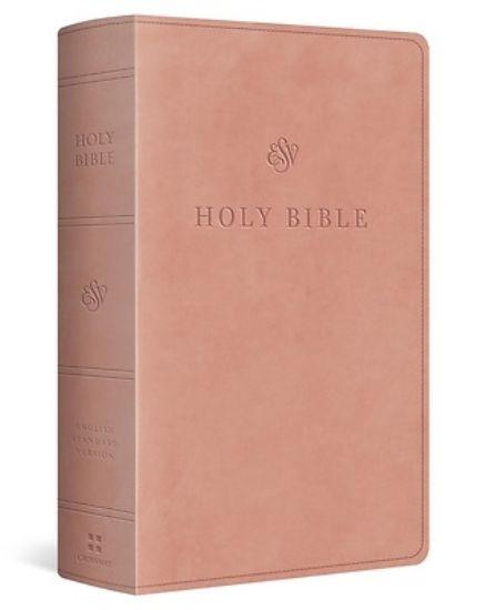 Picture of ESV Large Print Personal Size Bible (Trutone, Blush Rose)