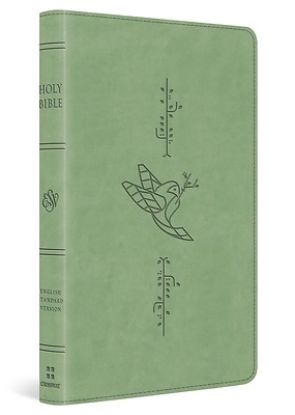 Picture of ESV Kid's Bible, Thinline, Red Letter (Trutone, Bird of the Air Design)