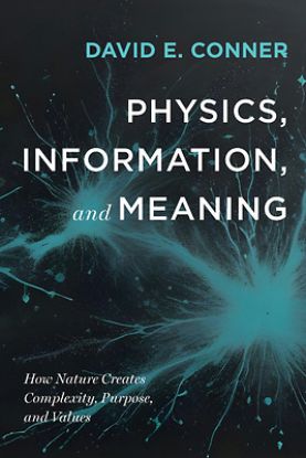 Picture of Physics, Information, and Meaning