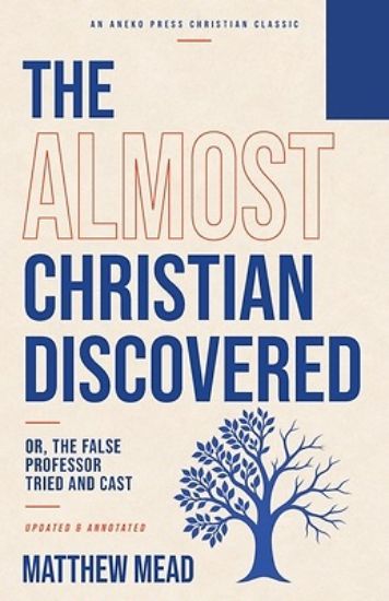 Picture of The Almost Christian Discovered
