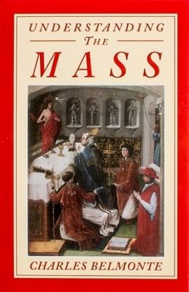 Picture of Understanding the Mass