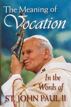 Picture of The Meaning of Vocation