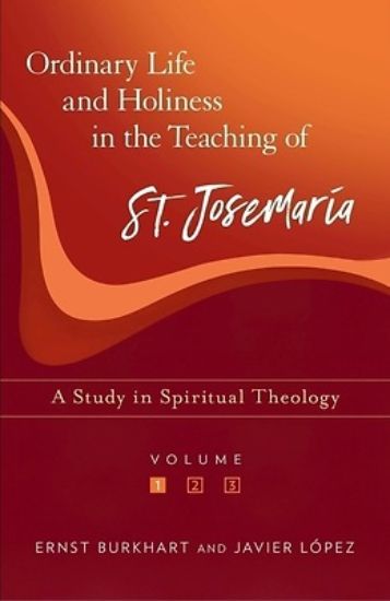 Picture of Ordinary Life and Holiness, Volume 1