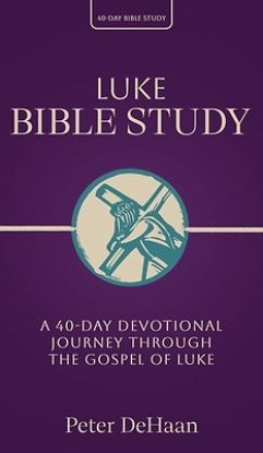 Picture of Luke Bible Study