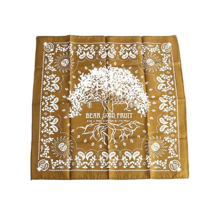 Picture of Bandana Bear Good Fruit - Green