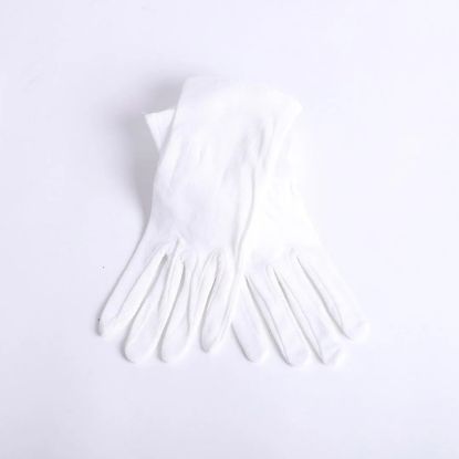 Picture of Glove White Plain 2X Large