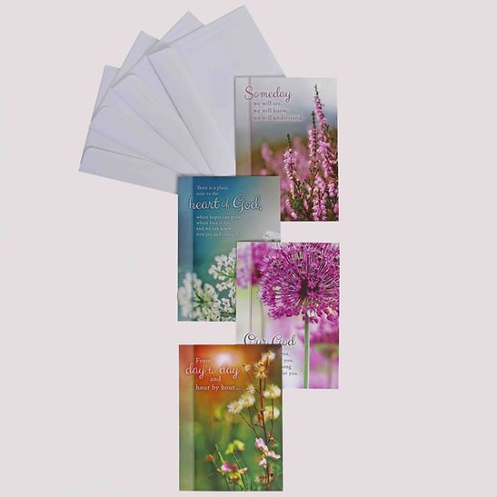 Picture of Boxed Cards Encouragement Day by Day 12CT