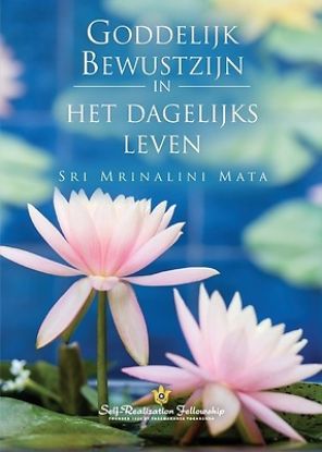 Picture of Jumalallisen tietoisuuden ilmentäminen jokapäiväisessä elämässä (Manifesting Divine Consciousness in Daily Life)