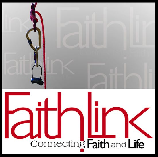 Picture of Faithlink - Gun Control
