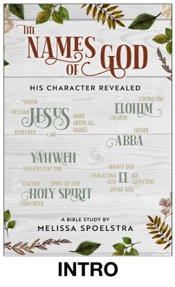 Picture of The Names of God Women's Bible Study Session Video