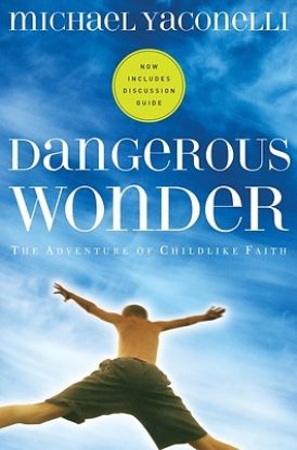 Picture of Dangerous Wonder