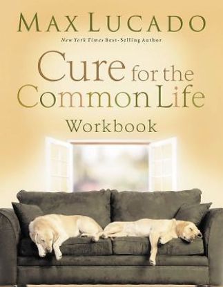 Picture of The Cure for the Common Life Small Group Study