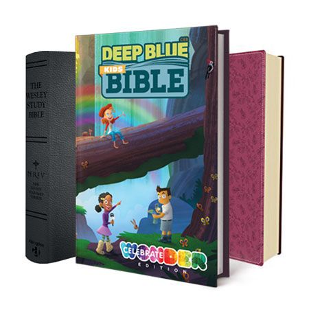 Picture for category Bibles for Christmas