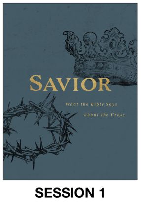 Picture of Savior Session Video