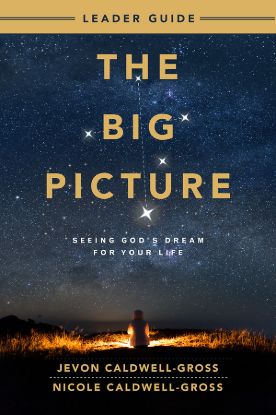 Picture of The Big Picture Leader Guide