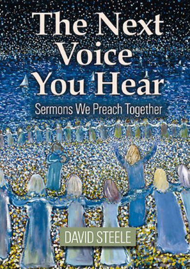 Picture of The Next Voice You Hear