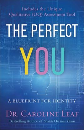 Picture of The Perfect You