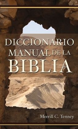 Picture of Diccionario Manual de La Biblia