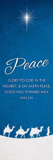 Picture of Advent Peace 2' x 6' Banner
