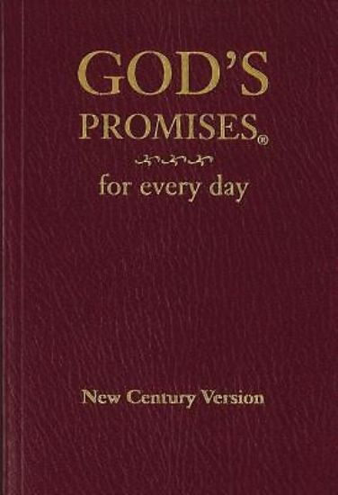 Picture of God's Promises for Every Day