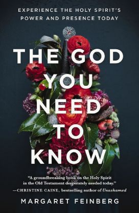 Picture of The God You Need to Know