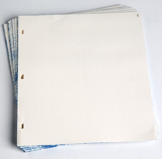 Picture of Minutes of Session Numbered Extra Sheets - 8 1/2" x 11"
